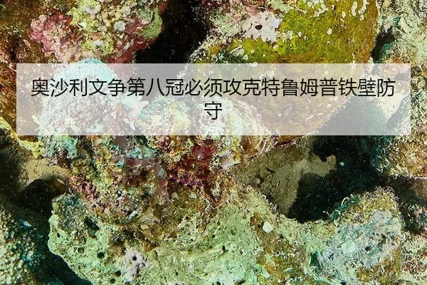 ao-sha-li-wen-zheng-di-ba-guan-bi-xu-gong-ke-te-lu-mu-pu-tie-bi-fang-shou-3-920.jpg