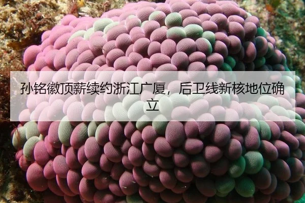 孙铭徽顶薪续约浙江广厦，后卫线新核地位确立