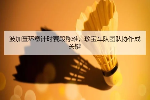 bo-jia-cha-huan-yi-ji-shi-sai-duan-cheng-xiong-zhen-bao-che-dui-tuan-dui-xie-zuo-cheng-guan-jian-2-563.jpg