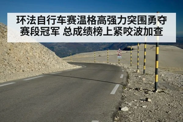 环法自行车赛温格高强力突围勇夺赛段冠军 总成绩榜上紧咬波加查